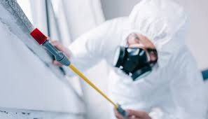 Best Pest Prevention Services  in Strathmore, NJ